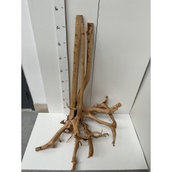 racine Stump Wood n2