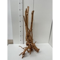 racine Stump Wood n3