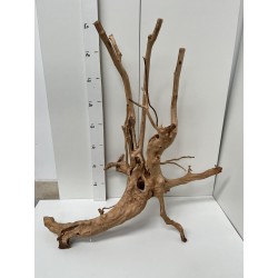 racine Stump Wood n5