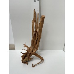 racine Stump Wood n10