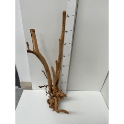 racine Stump Wood n15