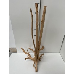 racine Stump Wood n16