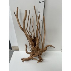 racine Stump Wood n17