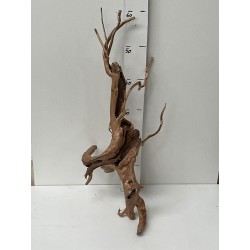 racine Stump Wood n44