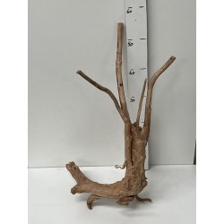 racine Stump Wood n45