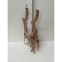 racine Stump Wood n50