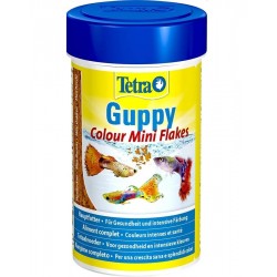 Tetra Guppy Color, Mini Flake