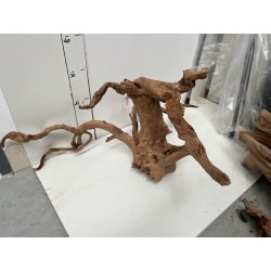 photo 4 spider wood 50.70cm