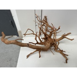 photo 5 spider wood 50.70cm
