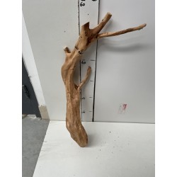 photo 1 snake shape wood