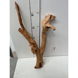 photo 3 snake shape wood