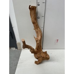 photo 4 snake shape wood