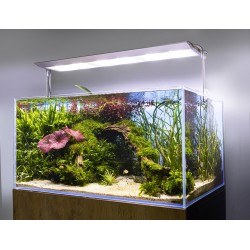 ULTRA SLIM BT 90 AQUAEL