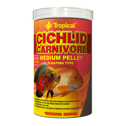 tropical cichlid carnivore...
